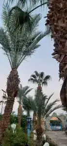 Turquoise Beach - 36