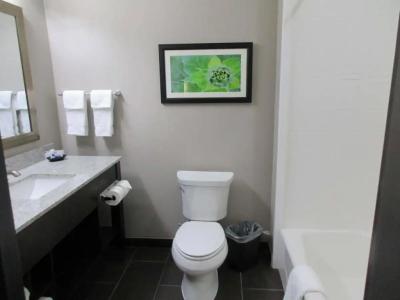 Best Western Plus Tech Medical Center Inn - 25