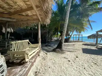 Serenade Punta Cana Beach & Spa Resort - 65