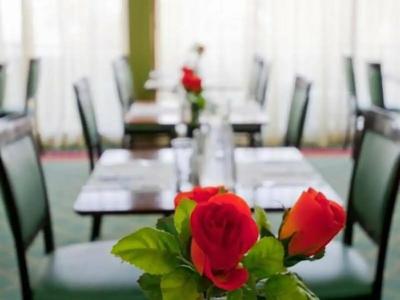 Leonardo Inn Dead Sea - 10