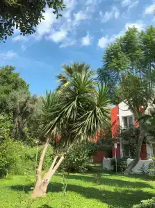 Belcekiz Beach Club - All Inclusive - 7