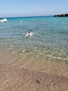 Empire Beach Resort - 96