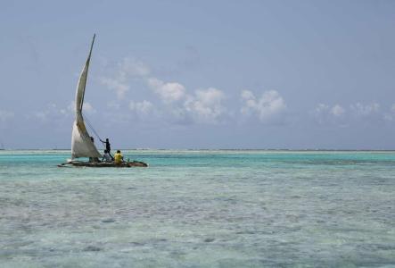 Jambiani White Sands Bungalows - 44