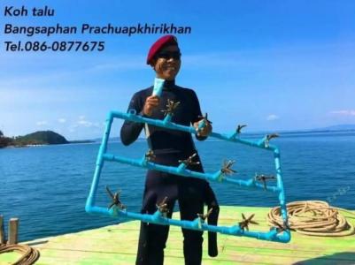 Koh Talu Island Resort - 90