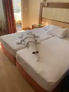 Kleopatra Dreams Beach - 32