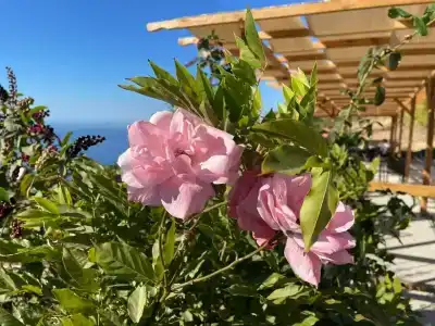 Long Beach Alanya - Ultra All Inclusive - 75