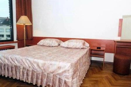 Hyatt Regency Sofia - 17