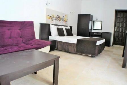 Bitez Garden Life - 59