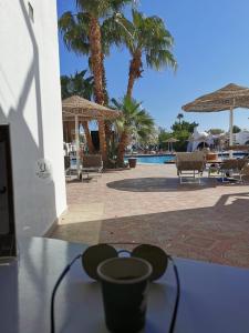 Domina Coral Bay Resort, Diving , Spa & Casino - 94