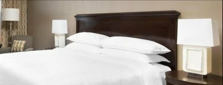 Sheraton Orlando North - 17