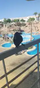 Sharming Inns - Couples and Families Only - 58