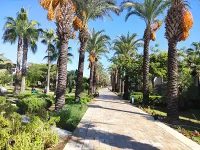 TUI BLUE Palm Garden - 35