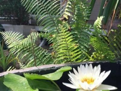 Rayonghouse Resort - 4