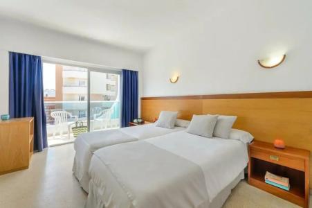 Vibra Palma Cactus - 93