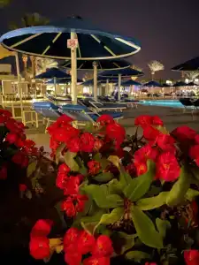 Pickalbatros Dana Beach Resort - Hurghada - 20