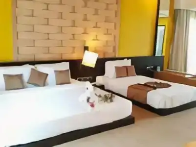 The Zign Premium Villa - 70