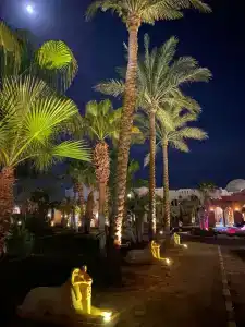 Club Reef Resort & Spa - 34