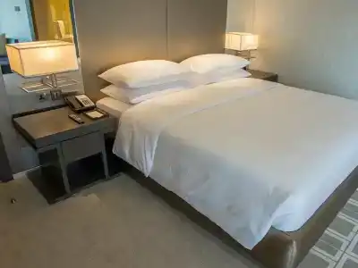 Hyatt Regency Dubai Creek Heights - 15