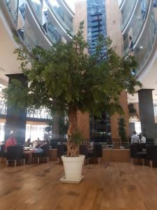 Side Crown Sunshine Ultra All Inclusive - 43