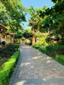 Anantara The Palm Dubai Resort - 13