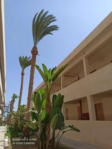 Meraki Resort - Adults Only - 88