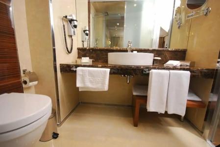 Holiday Inn Ankara-Kavaklidere, an IHG - 85