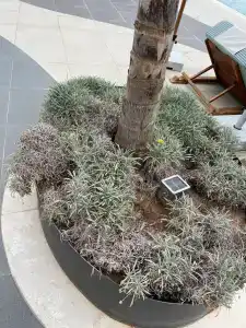 Parklane, a Luxury Collection Resort & Spa, Limassol - 88