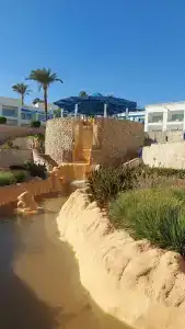 Renaissance Sharm El Sheikh Golden View Beach Resort - 39