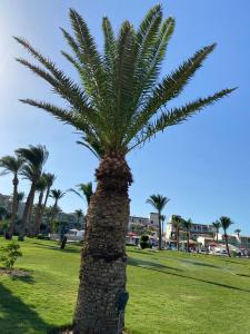 Amarina Abu Soma Resort & Aquapark - 87