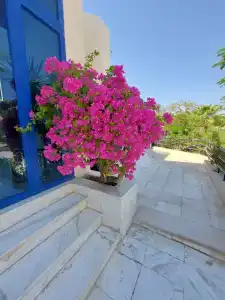 Cataract Resort Naama Bay - 90