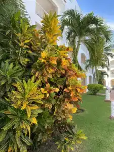 Be Live Collection Punta Cana - All Inclusive - 26