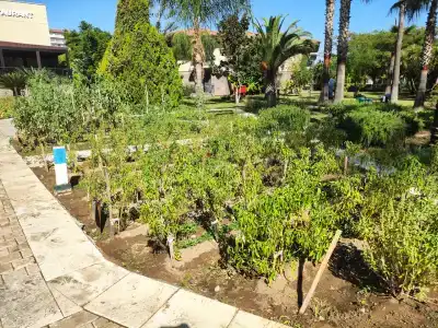 TUI BLUE Palm Garden - 96