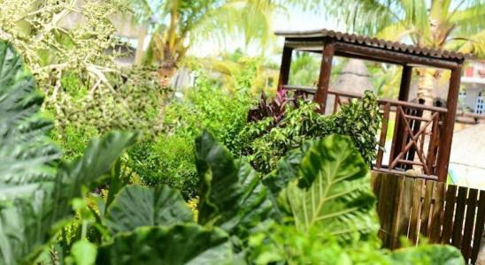 Veranda Pointe Aux Biches & Spa - 9