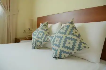 Caretta Caretta Pension - 36