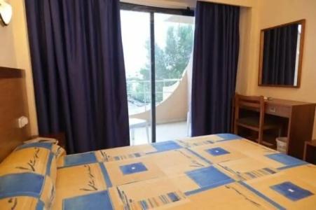 Vibra Palma Cactus - 89