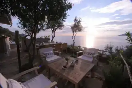 Beyaz Yunus - Adult Only - 40