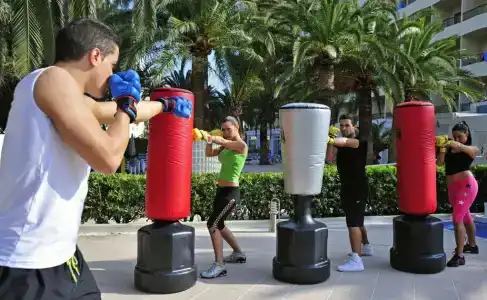 Sol Palmanova Mallorca - 35