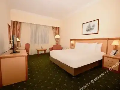 Polat Palandöken - 4