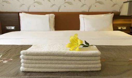Ramada Plaza by Wyndham Istanbul Atakoy - 8