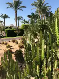 Jaz Belvedere Resort - 64