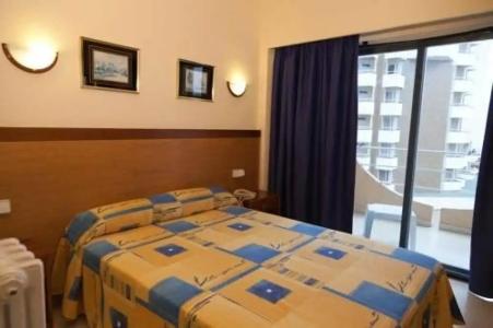 Vibra Palma Cactus - 82