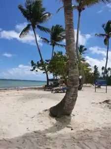 Serenade Punta Cana Beach & Spa Resort - 18