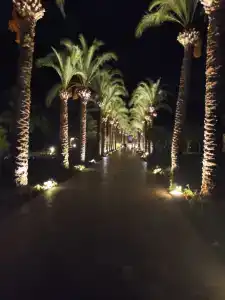 TUI BLUE Palm Garden - 30