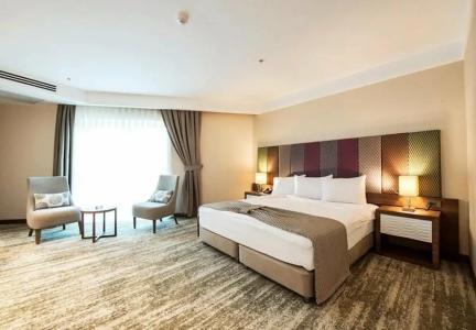 Ramada by Wyndham Gemli̇k - 1