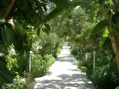 Gumbet Anil Beach - 43