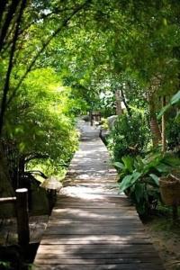 Sensi Paradise Beach Resort - 8