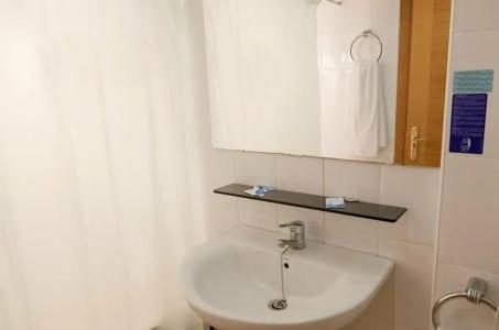 Vibra Palma Cactus - 84