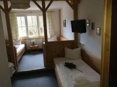 Blaue Gams ***S - 62