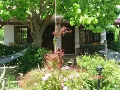 Caretta Caretta Pension - 78