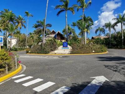 VIK Arena Blanca - 16